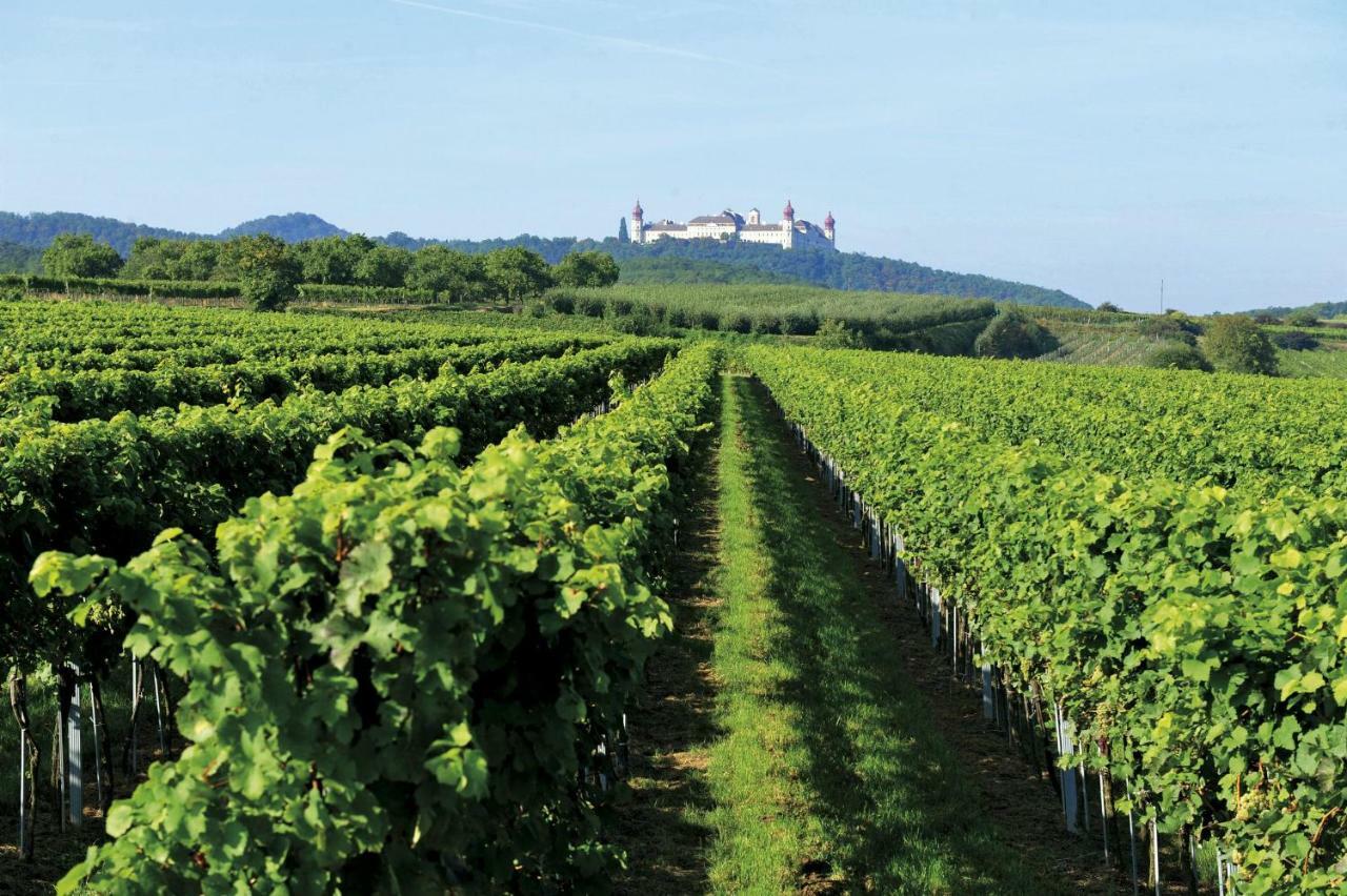 Отель Landhaus Weinblick Rohrendorf bei Krems Экстерьер фото